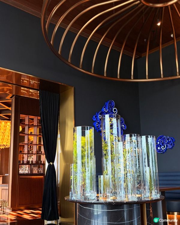 澳門隱世星級餐廳💫 20會員分就換到酒店高空精緻餐✨