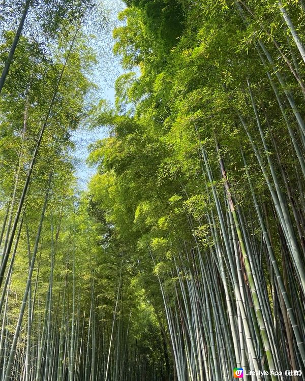 日本京都享受大自然不要再去稻荷神社了，景點背後都有一段歷史～