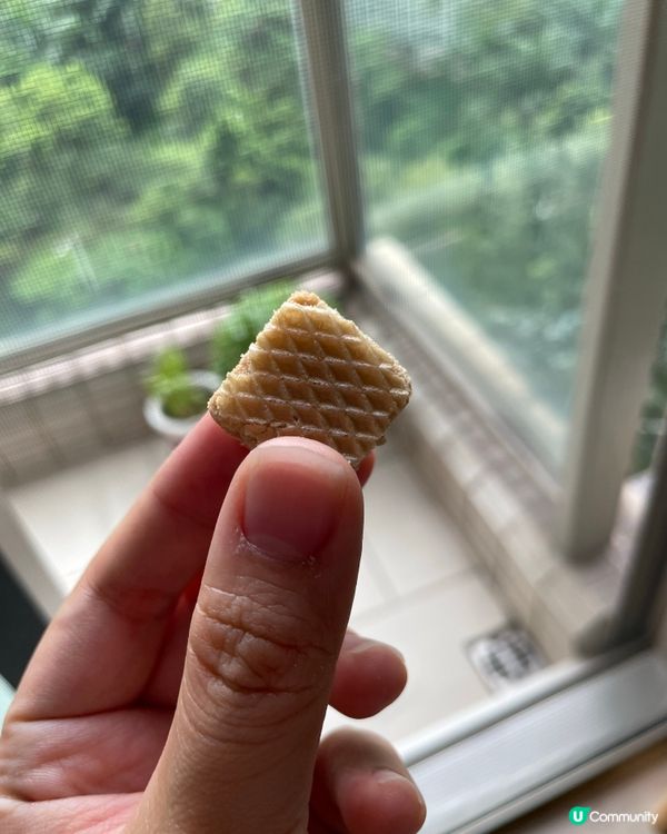 試食嘉頓粒粒威化