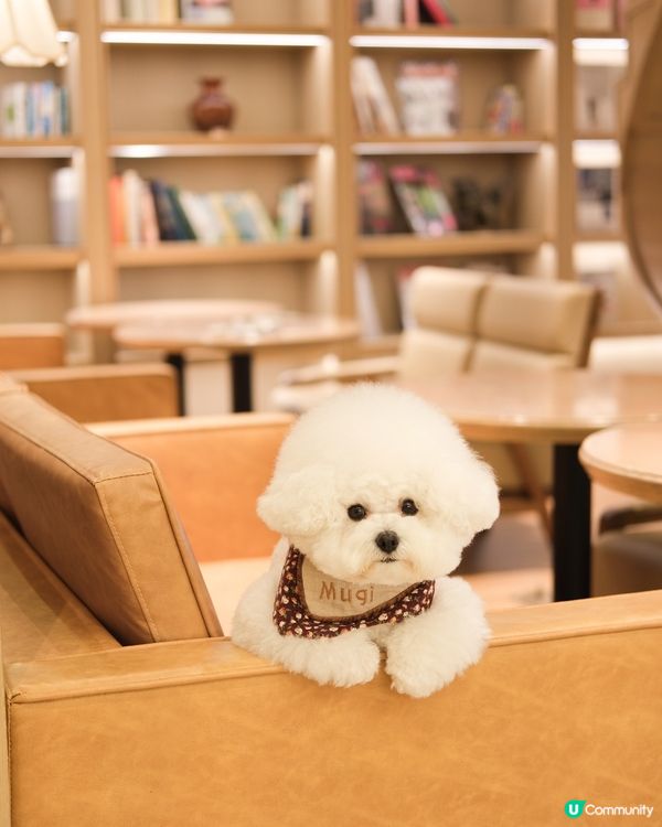 呢度竟然有寵物友善餐廳我唔知🤣