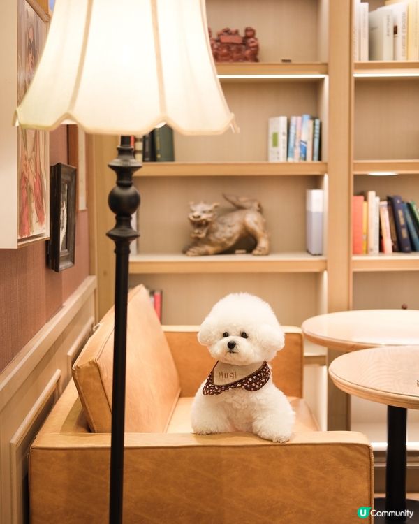 呢度竟然有寵物友善餐廳我唔知🤣