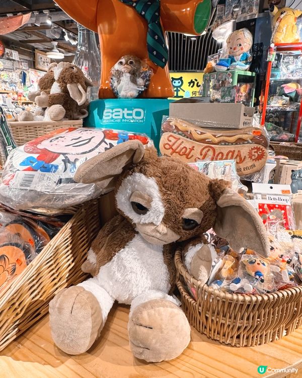 旺角怪店，潮物寶藏！ 🤪🇯🇵