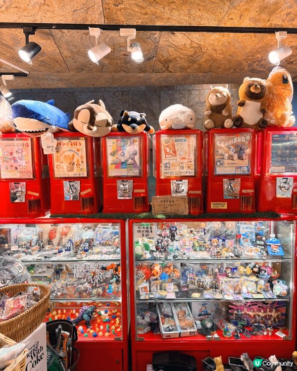 旺角怪店，潮物寶藏！ 🤪🇯🇵