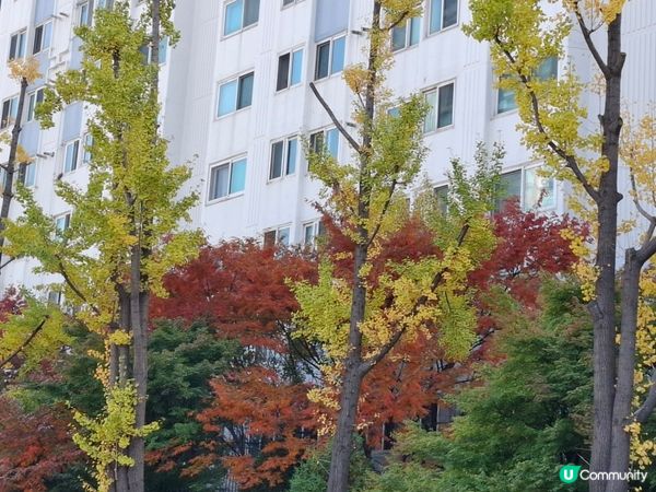 首爾弘益大學購物區