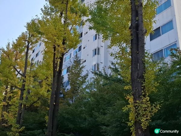 首爾弘益大學購物區