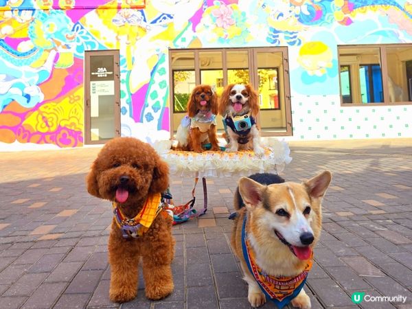 世界級童話村鎮，馬灣1868打卡📸