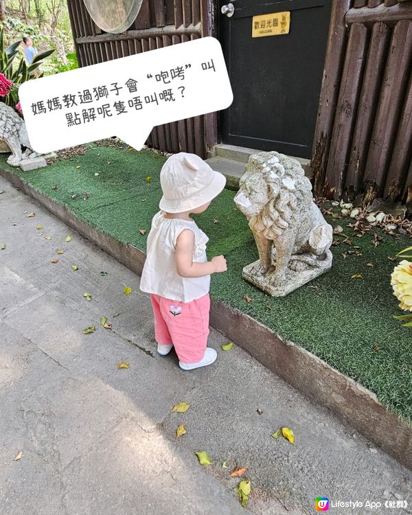 親子遊 •大棠有機生態園