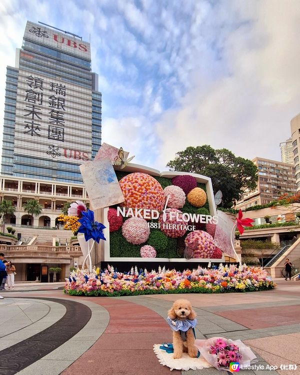 【🐶狗狗同樂日】NAKED FLOWERS 花舞光影展香港