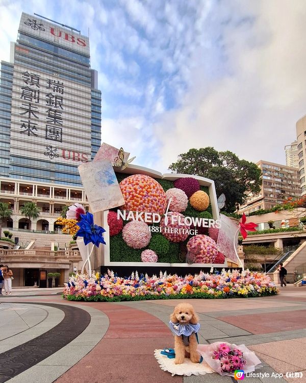 【🐶狗狗同樂日】NAKED FLOWERS 花舞光影展香港