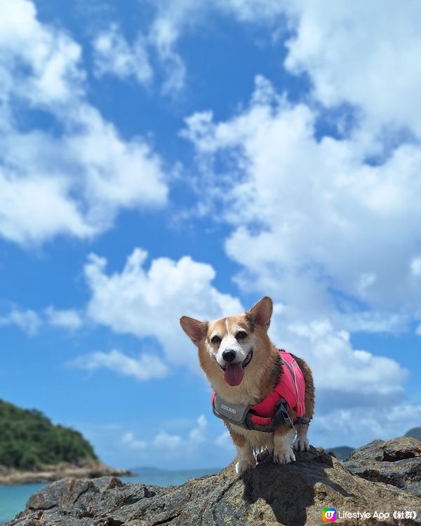 夏水禮