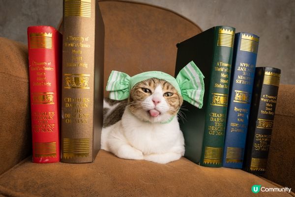 去著名影樓拍照擺出得意表情，仲有楓葉，文青look同天空之鏡...