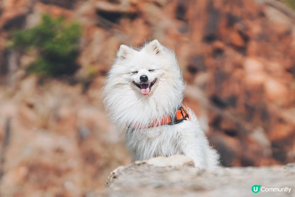 我是你的眼中風景，你更是我眼中的一切