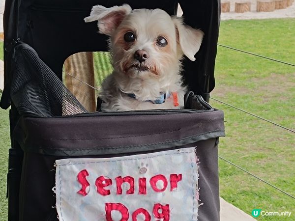 [西澳啤酒廠] 🍻 啤一啤@ Old coast road
