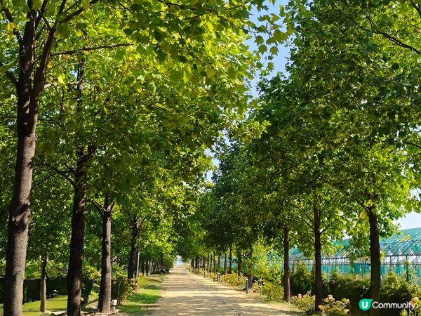 韓國京畿道風景