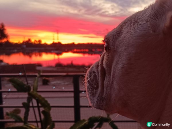 [西澳日落美🌞] 準備七星連珠？