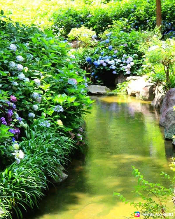 長居公園植物園💙