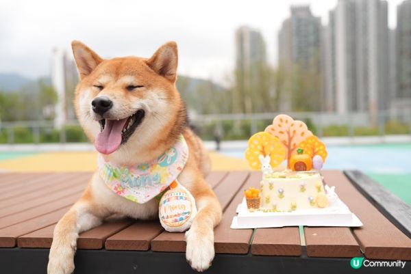 清明時節雨紛紛～🌨️🌫️