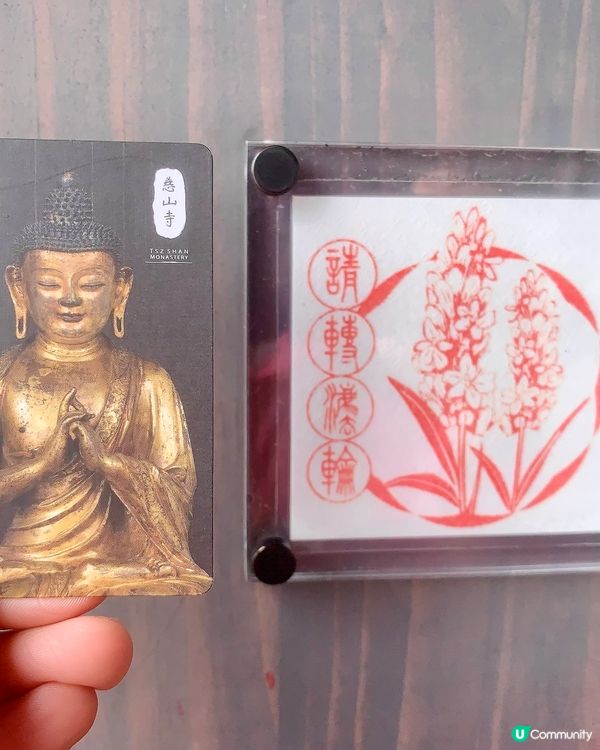 智慧語 Words of Wisdom🌷