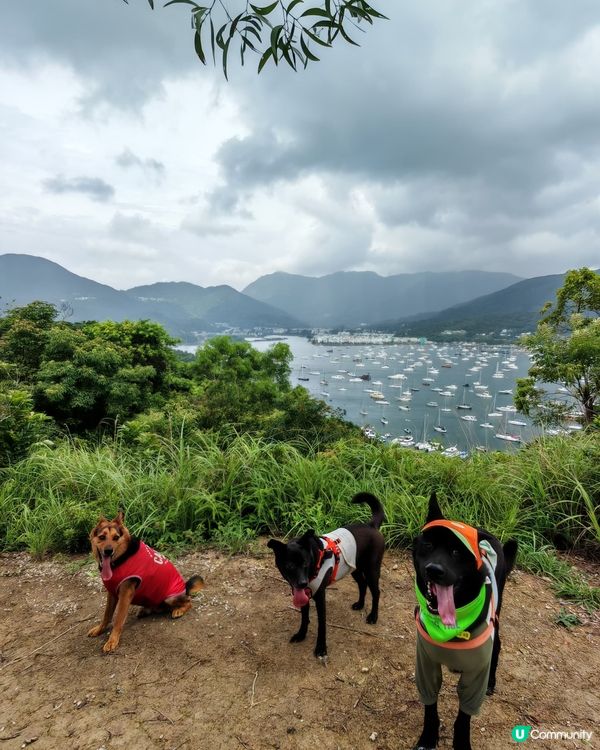 夏日行山☔️☀️！