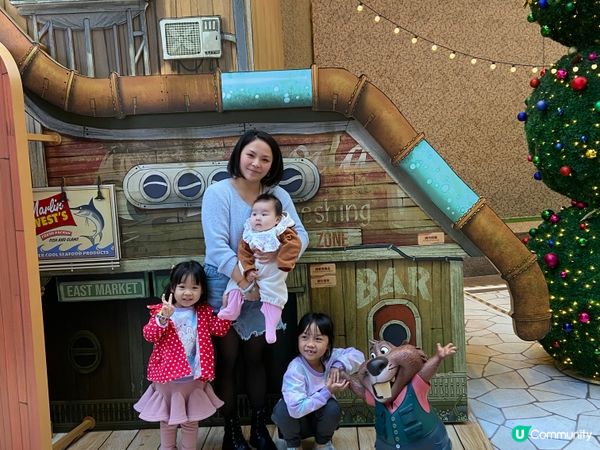 ⭐️時代廣場有好多動物出現🤩🐆🐍🦊🐰🐴🦥🦫🦦