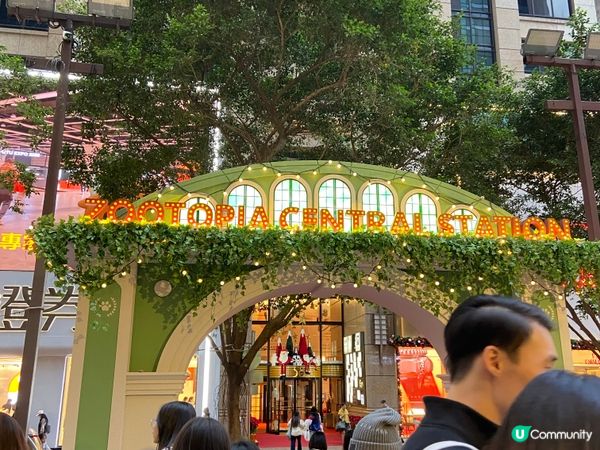 ⭐️時代廣場有好多動物出現🤩🐆🐍🦊🐰🐴🦥🦫🦦