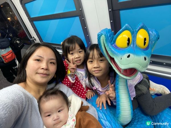 ⭐️時代廣場有好多動物出現🤩🐆🐍🦊🐰🐴🦥🦫🦦