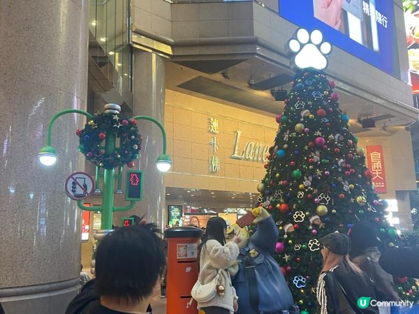 ⭐️時代廣場有好多動物出現🤩🐆🐍🦊🐰🐴🦥🦫🦦