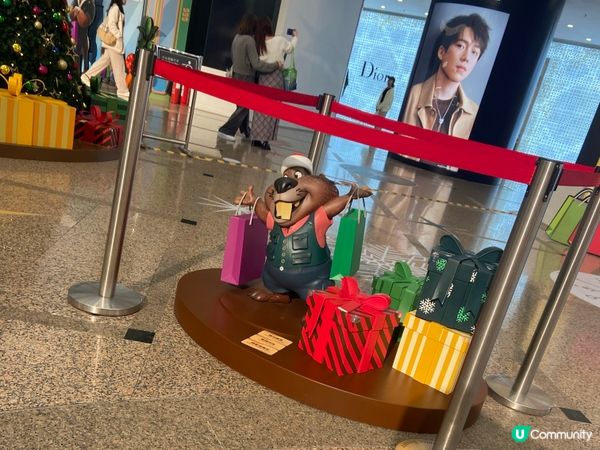 ⭐️時代廣場有好多動物出現🤩🐆🐍🦊🐰🐴🦥🦫🦦