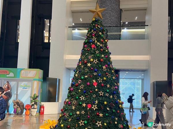 ⭐️時代廣場有好多動物出現🤩🐆🐍🦊🐰🐴🦥🦫🦦