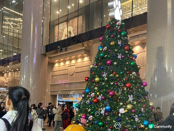 ⭐️時代廣場有好多動物出現🤩🐆🐍🦊🐰🐴🦥🦫🦦