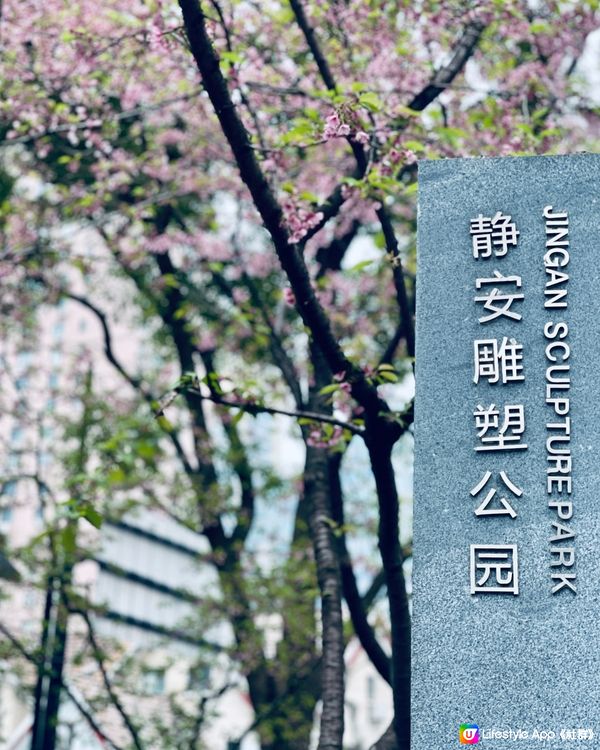 打卡櫻花、鬱金香．．賞花必去上海靜安雕塑公園