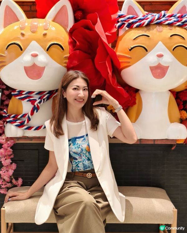 尖沙咀美麗華邂逅「貓金波」 