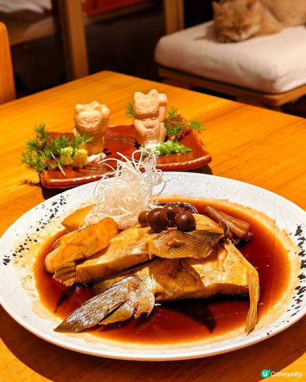 尖沙咀美麗華邂逅「貓金波」 