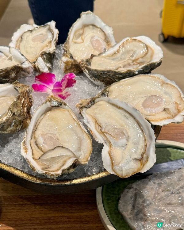 滿足的飽魚雞火鍋晚餐