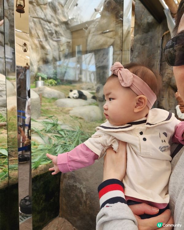 囡囡之海洋公園初體驗🐼