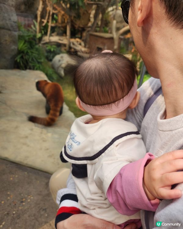 囡囡之海洋公園初體驗🐼