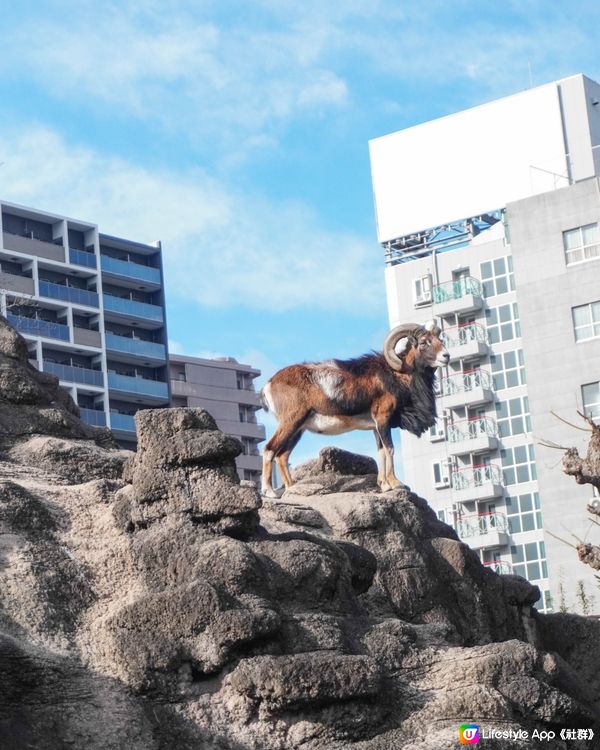 【建在市中心的日本古老動物園三大之一】