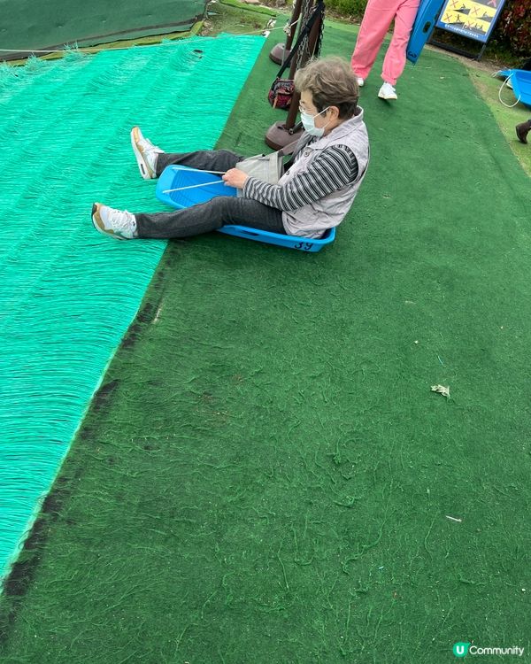 花田、動物、滑草、新鮮農產品