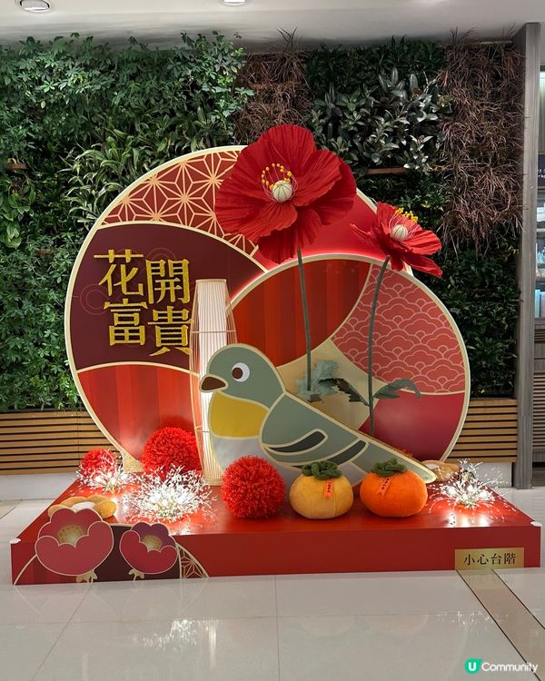 花開富貴祝大家!大吉大利,百巢納富!