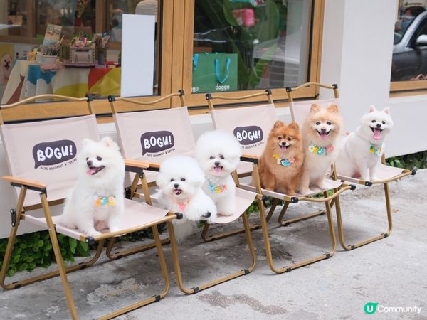 個假期咁就完咗啦