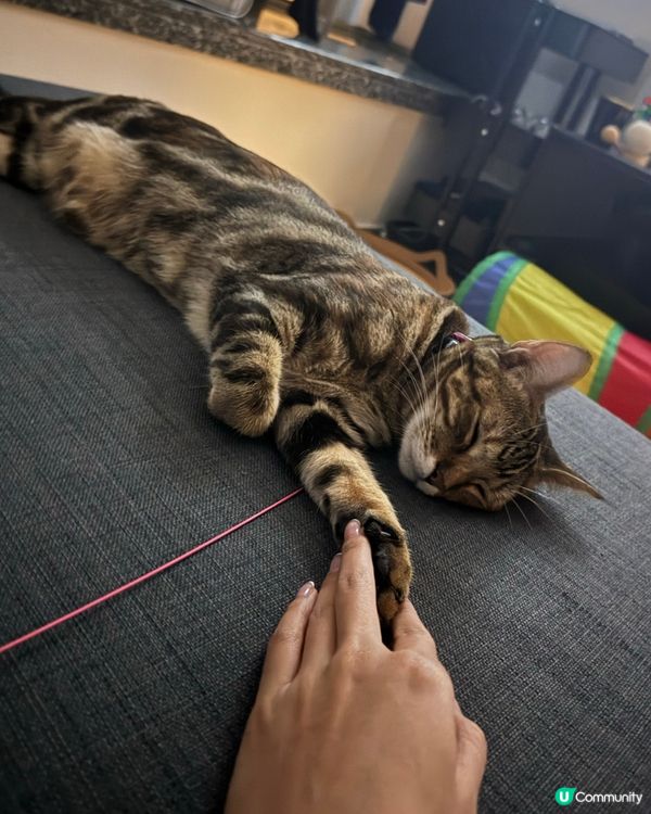 一齊拖手仔，好溫馨👐🏻