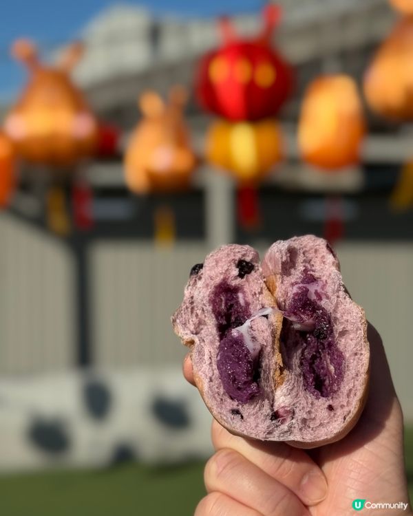 藍莓麻薯波波包🤤！拉絲口感超正！