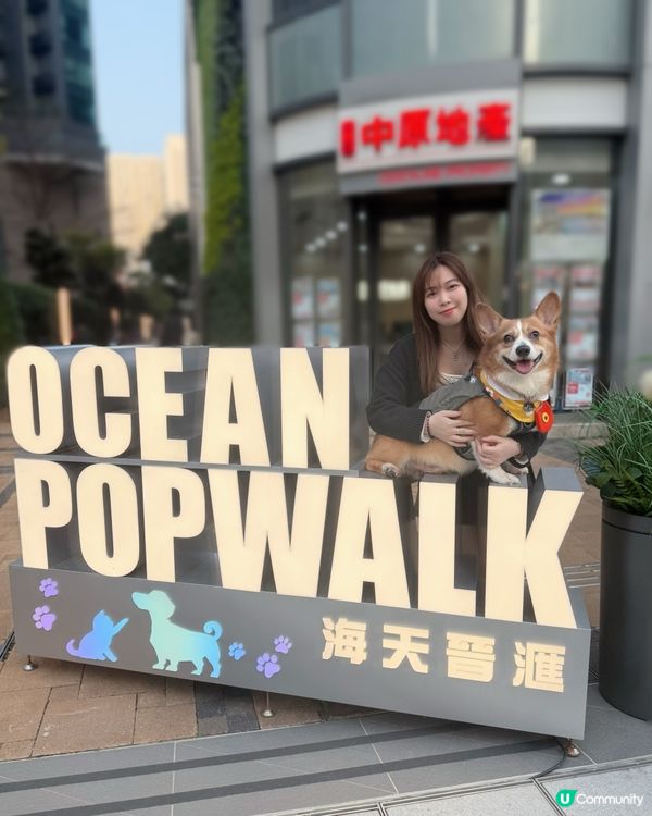 將軍澳限定 - 寵物主題市集❤️