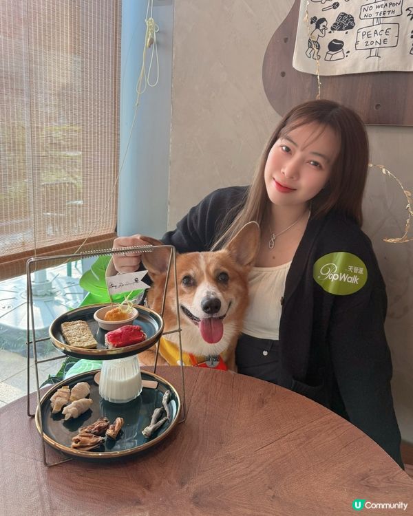 將軍澳限定 - 寵物主題市集❤️