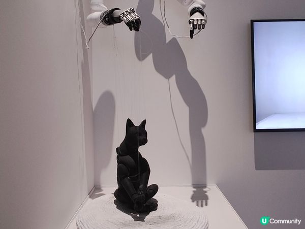 🎆煙花作畫🎆