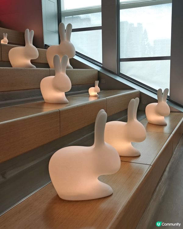 霓虹燈打卡📸！設計館免費睇✨！