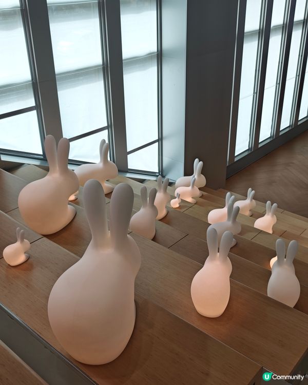 霓虹燈打卡📸！設計館免費睇✨！