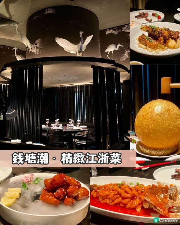 ✨深圳🇨🇳-⚠️💬竟還未安排父親節美食計劃⁉️💢那間最合適📣見內文