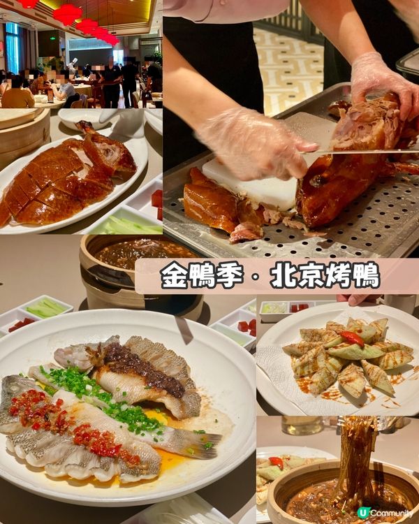 ✨深圳🇨🇳-⚠️💬竟還未安排父親節美食計劃⁉️💢那間最合適📣見內文