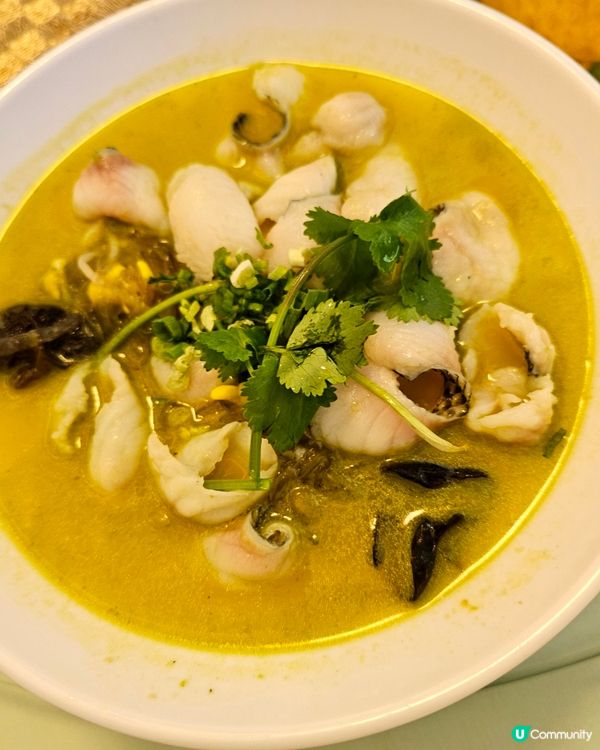 偶然一試變成試完再試